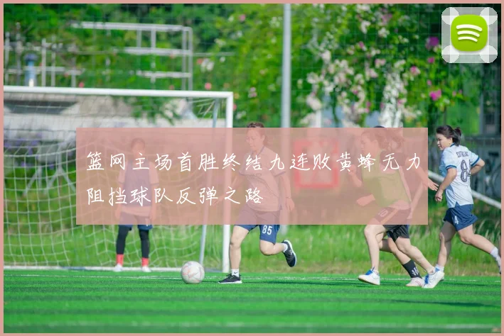 篮网主场首胜终结九连败黄蜂无力阻挡球队反弹之路